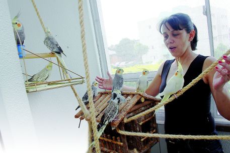 Esteticista cria 12 pássaros soltos dentro de apartamento - Jornal da Mídia