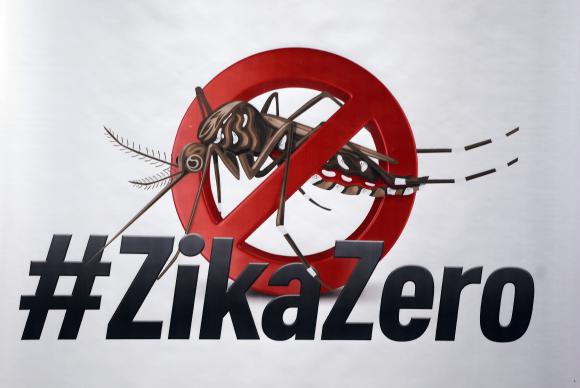 Campanha vai mobilizar famílias no combate ao mosquito transmissor do Zika, que também é vetor da dengue e da chikungunya (Foto: Elza Fiúza/Agência Brasil)