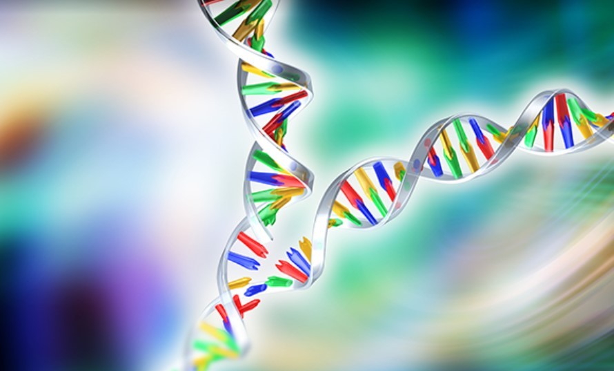 Процесс разрезания молекулы днк. Молекула ДНК. Репликация молекулы ДНК. ДНК арт. Молекула ДНК декор.