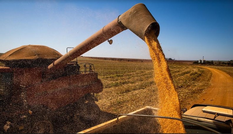 Agronegócio baiano fecha primeiro trimestre de 2022 em alta e já reponde por 24,3% do PIB