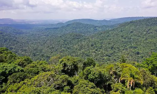 Reino da hipocrisia, Noruega esnoba Amazônia