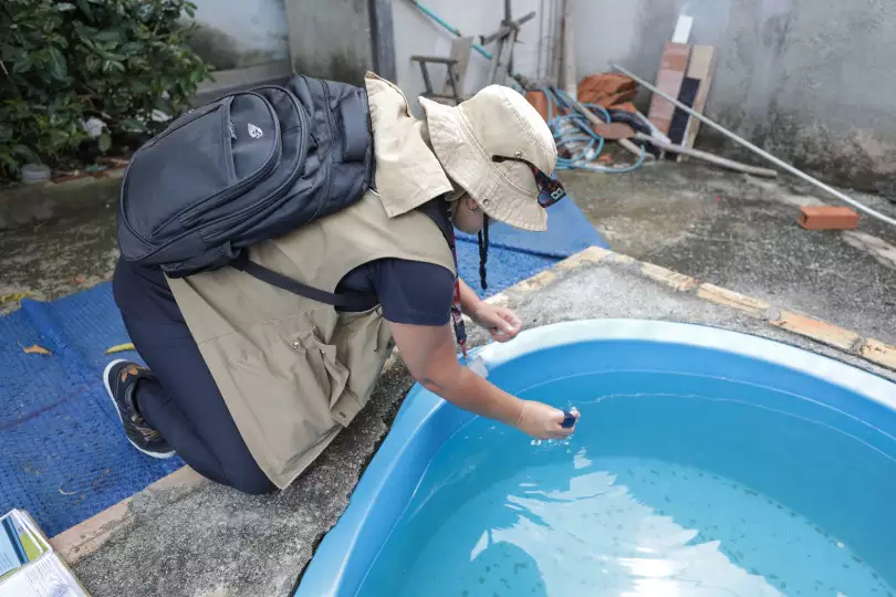 Dengue matou mais do que Covid-19 no Brasil
