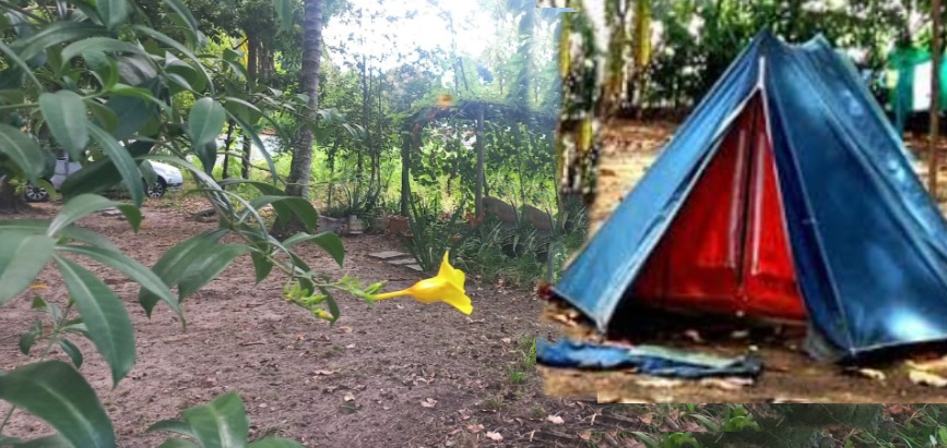 Itaparica tem camping cheio de natureza, praia e rio para receber visitantes no  Carnaval