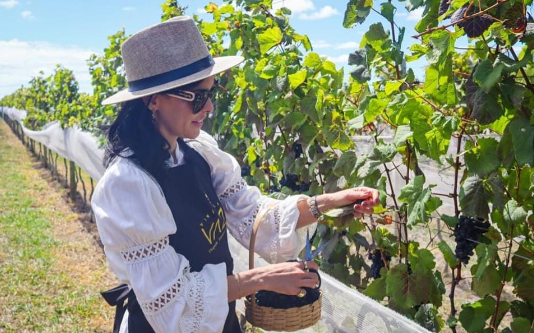 Vindima reúne mais de 300 pessoas e celebra sucesso do enoturismo em Morro do Chapéu