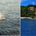 Morro de São Paulo: Travessia Salvador–Morro opera normalmente e registra procura moderada neste sábado (28)