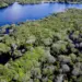 Governo lança edital para combate ao desmatamento na Amazônia