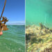 Projeto Mares retoma ações de restauração coralínea e Educação Ambiental na Ilha de Itaparica