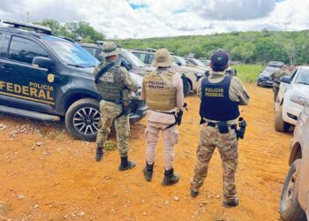 Operação policial no Norte da Bahia erradica 125 mil pés de maconha em Macureré