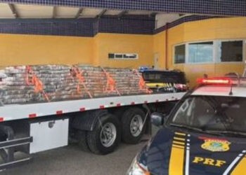 Duas toneladas de maconha são apreendidas em teto de caminhão em Juazeiro (BA)