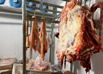 Adab apreende mais de 1 tonelada de carne irregular em Candiba e Palmas de Monte Alto