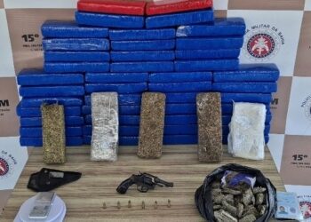 PM apreende mais de 50 kg de drogas, arma e munições em Itabuna