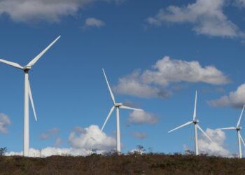 Bahia consolida liderança nacional em energias renováveis com avanços em eólica e solar