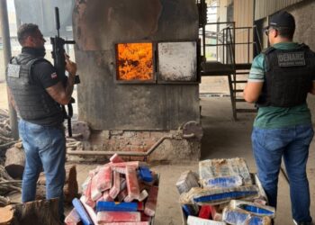 Polícia Civil incinera  1,8 tonelada de maconha durante a Operação NEXUS em Juazeiro