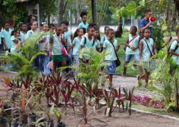 Ilha de Itaparica recebe iniciativa de promoção de ciência cidadã e educação ambiental prática