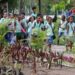 Ilha de Itaparica recebe iniciativa de promoção de ciência cidadã e educação ambiental prática
