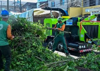 Salvador conta com primeira máquina trituradora de podas para reciclagem orgânica