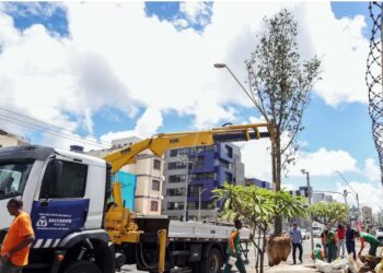 Prefeitura lança nova etapa do Corredor Verde, no Cabula, nesta quarta-feira (27)