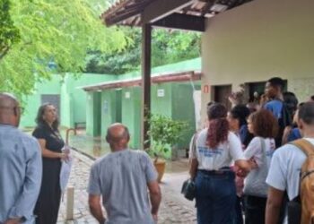 Itaparica ganha primeiro viveiro de mangue com produção de 28 mil mudas nativas