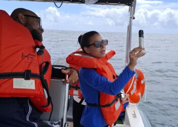 Projeto mapeia fauna marinha da Bahia por meio do DNA ambiental