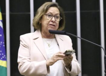 “Título de Cidadão é lançamento oficial da dobradinha Flávio Bolsonaro e ACM Neto na Bahia”, afirma Lídice