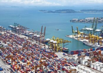 Exportações brasileiras de algodão batem recorde histórico   para o mês de maio