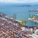 Exportações brasileiras de algodão batem recorde histórico   para o mês de maio