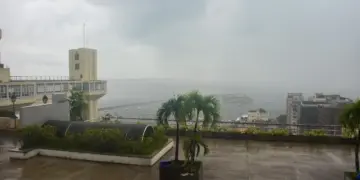 Codesal registra 72 ocorrências nas últimas 24h; confira previsão para o final de semana