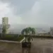 Codesal registra 72 ocorrências nas últimas 24h; confira previsão para o final de semana