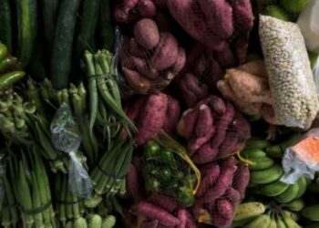 Salvador recebe encontro nacional de Pesquisas em Gastronomias