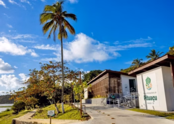 Governo entrega Parque de Pituaçu  completamente requalificado