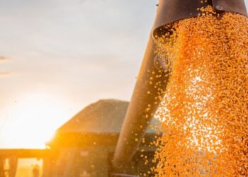 Safra baiana tem estimativa de R$ 13,3 milhões de toneladas de grãos em 2026