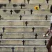 Mortes violentas caem 8,2% no país em 2025; feminicídios aumentam 4%
