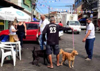 Dia D da Campanha Antirrábica leva vacinação gratuita para bairros e shoppings de Salvador neste fim de semana