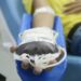 doação de sangue