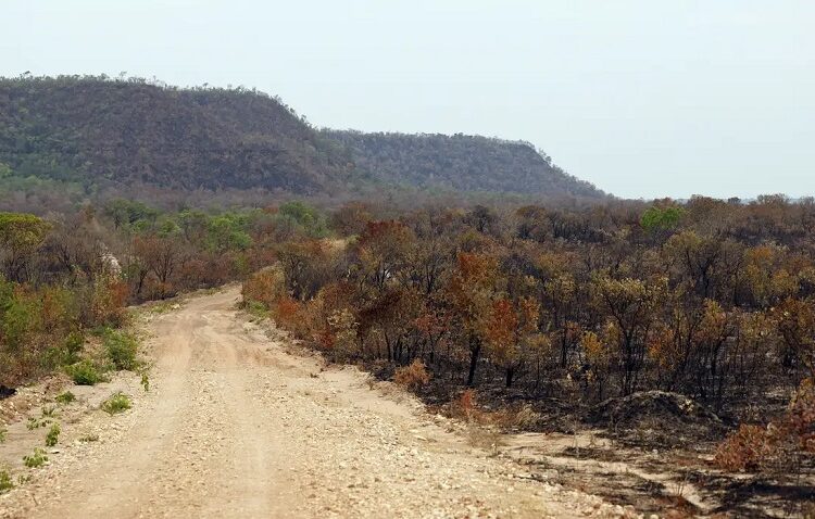 meio ambiente