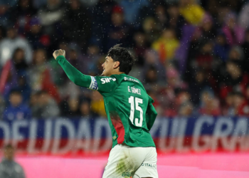 palmeiras