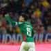 palmeiras