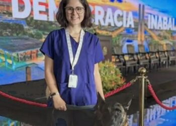 veterinária