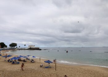 Limpeza Porto da Barra (21)