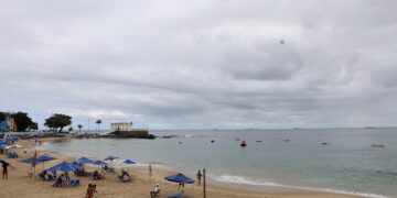 Limpeza Porto da Barra (21)