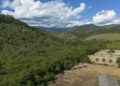Mata Atlântica
