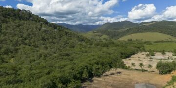 Mata Atlântica