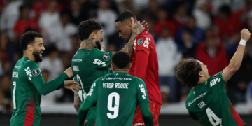 Palmeiras