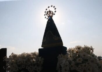 aparecida