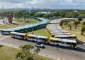 novos ônibus
