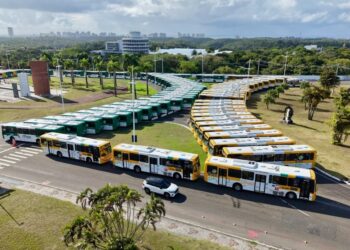 novos ônibus
