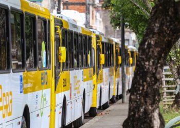 ônibus