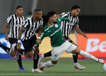 palmeiras
