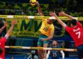 vôlei brasil
