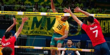 vôlei brasil